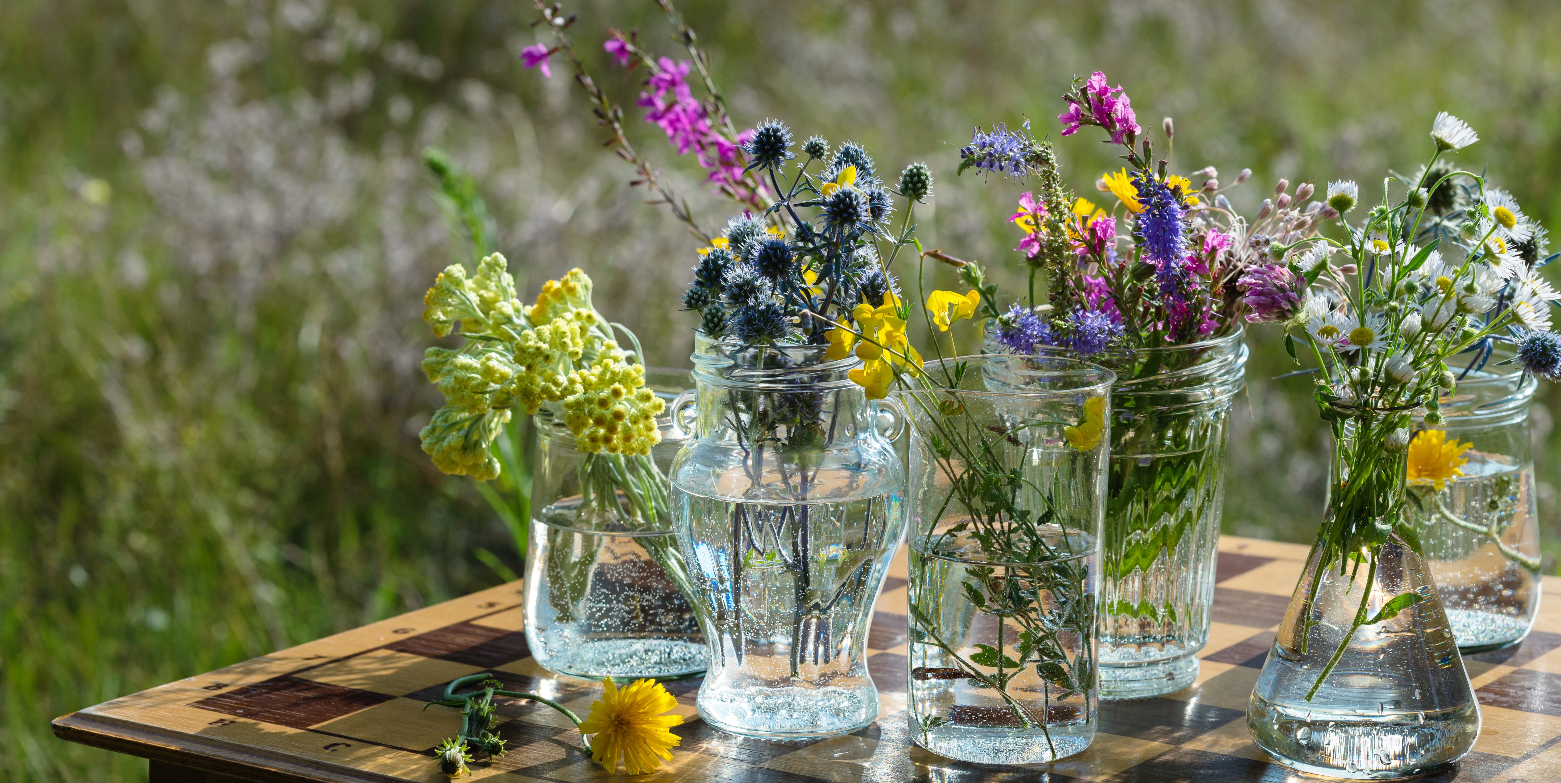 10 Household Items You Can Upcycle Instead of Tossing