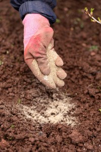 19 Fall Soil Practices Reframed for Home Cleaning and Storage