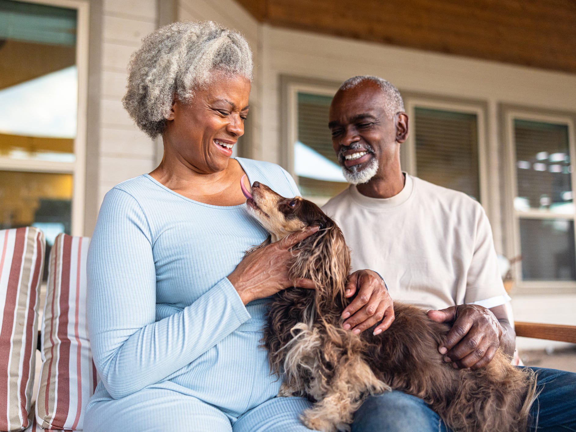 9 Low-Maintenance Dog Breeds for Seniors