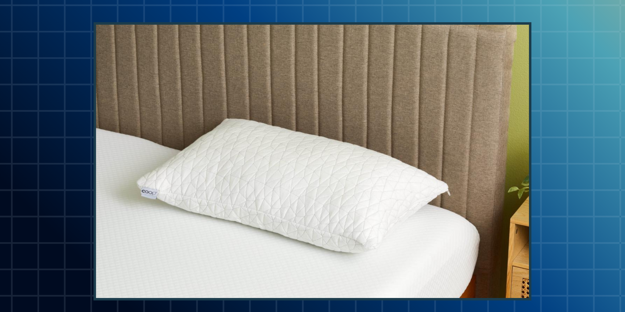 Coop Home Goods Original Loft Pillow Review