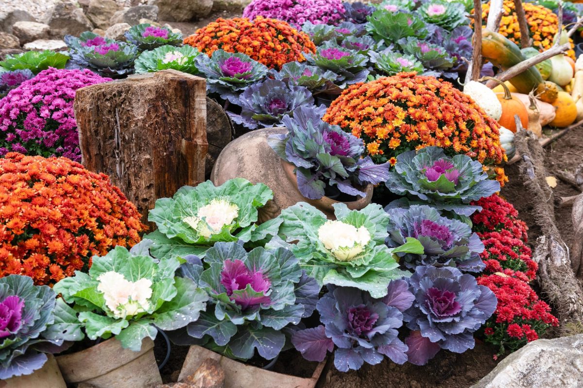 Five September Cleaning Tasks Worth Doing Before Fall Sets In