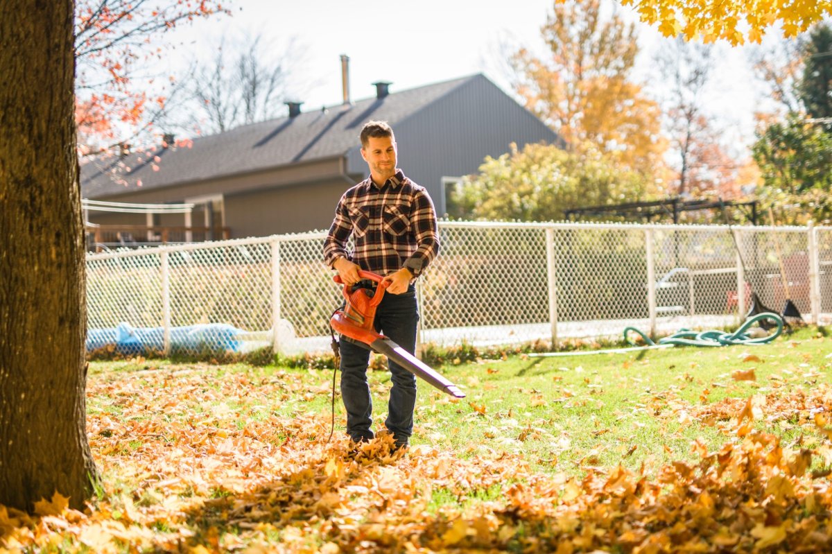 Leaf Blower or Leaf Vacuum: Choosing the Right Tool for Fall Yard Cleanup