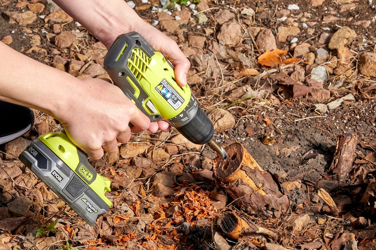 When Tree Roots Become a Household Problem: What Actually Works