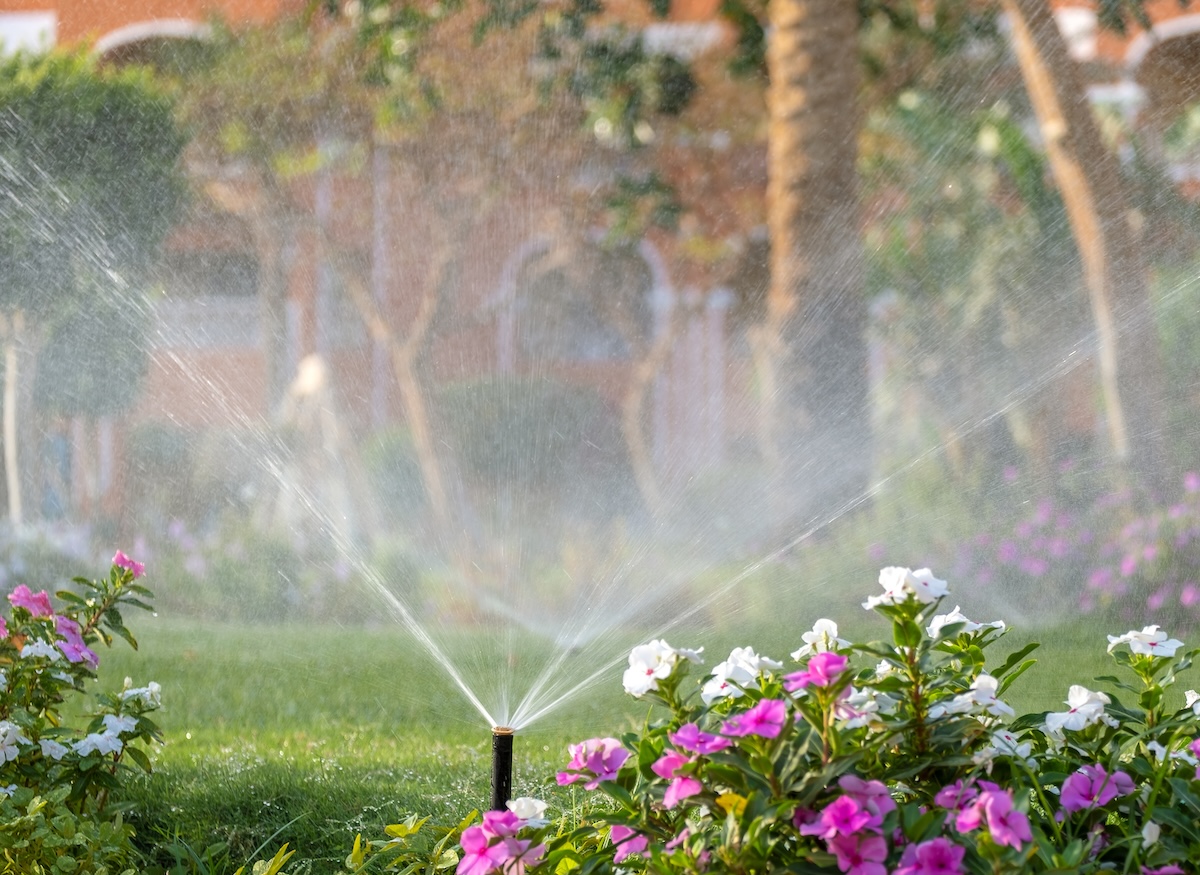 Your Lawn Needs Less Water Than Your Sprinkler Gives It
